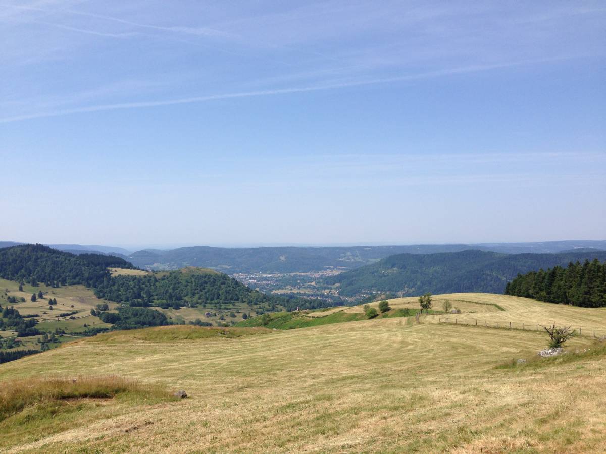 IMG_1264 | L'orée du bois Tourisme Remiremont