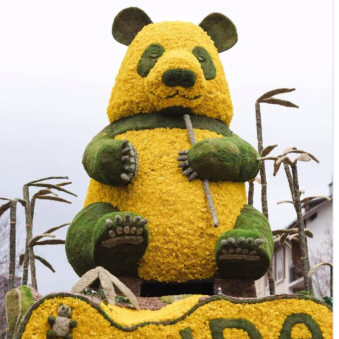 Fête des Jonquilles à Gerardmer Gérardmer 1