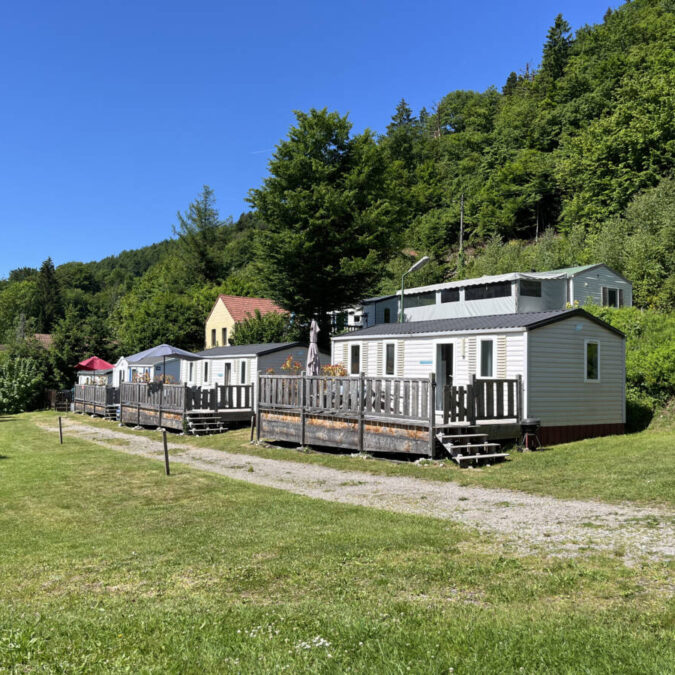 DB4989B8 7572 4AC1 A10A 668BBD6C58AC 675X675 | L'orée du bois Photos page d’accueil Guebwiller 2