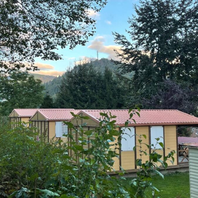 Nature verdoyante, calme et tranquillité dans les Vosges Gérardmer 8