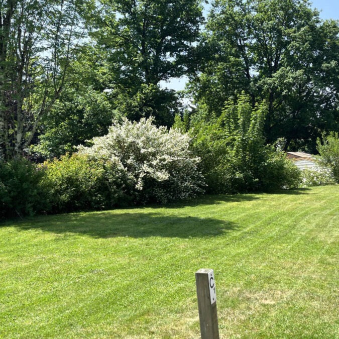 Emplacements tente, camping-car dans les Vosges Gérardmer 1