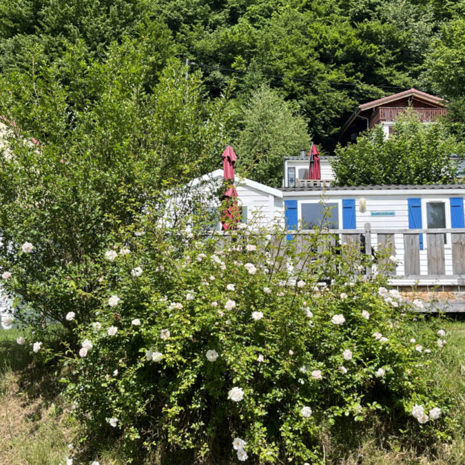 LISIERE DE FORET 675X675 | L'orée du bois Photos page d’accueil Belfort 0