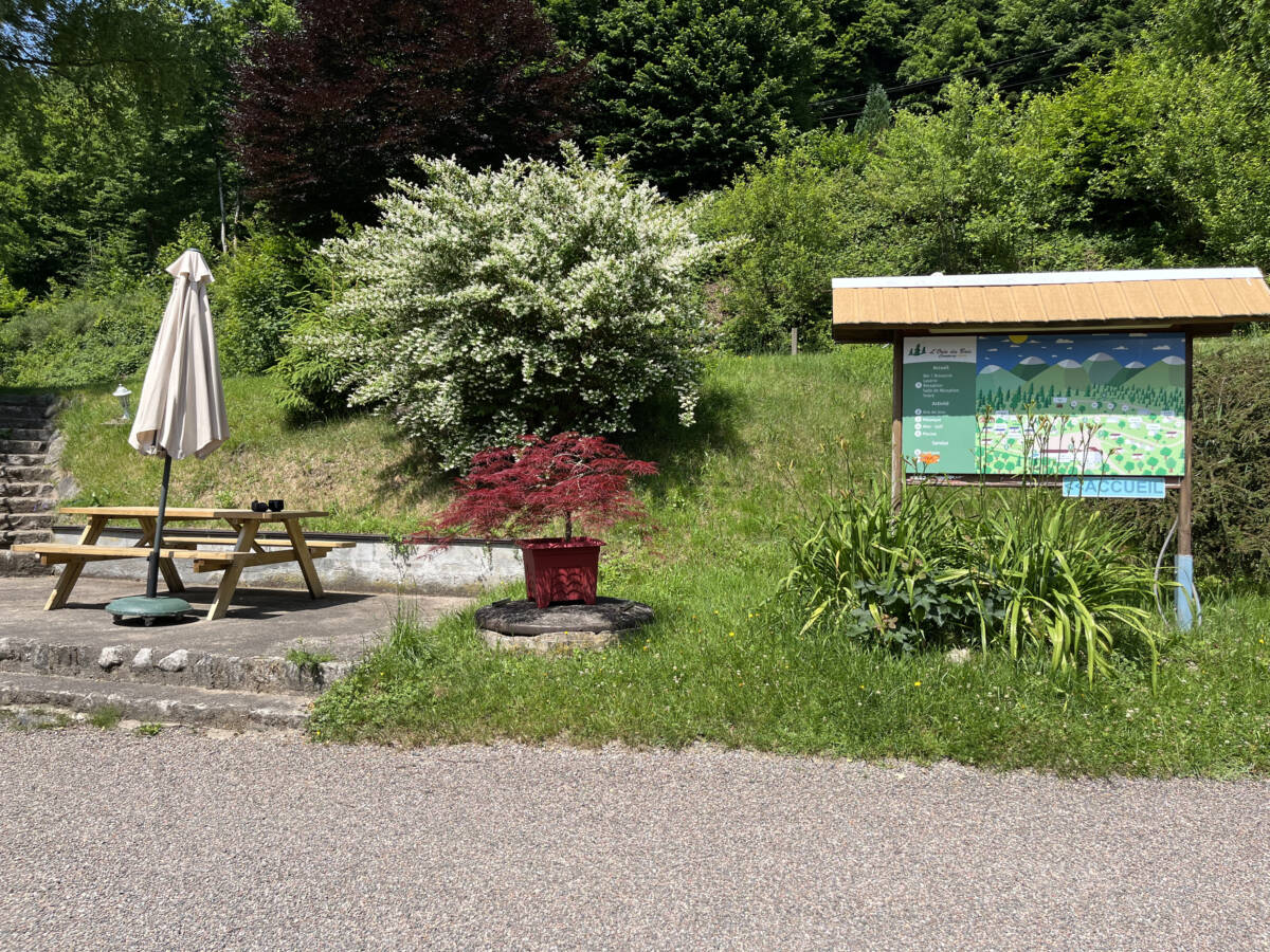 Plein soleil au camping dans les Vosges Munster