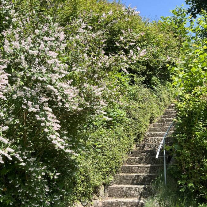 Emplacements tente, camping-car dans les Vosges Cernay 3